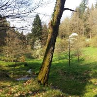 Akademie Naturtherapie