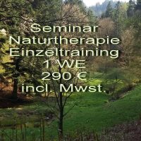 Einzelseminar