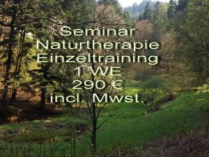 Einzelseminar