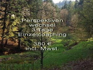 Perspektivenwechsel