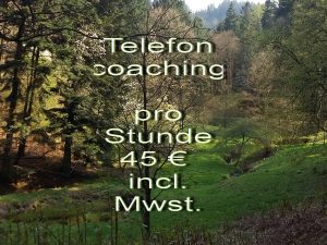 Telefoncoaching