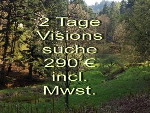 Visionssuche