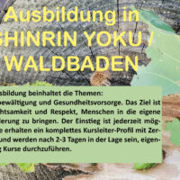 Kursleiter Waldbaden Shinrin Yoku