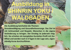 Kursleiter Waldbaden Shinrin Yoku