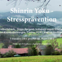 Shinrin Yoku-Stressprävention