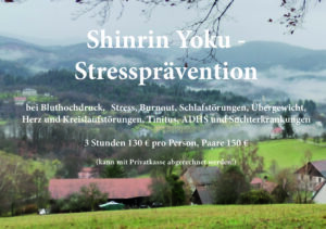 Shinrin Yoku-Stressprävention