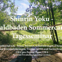 Tages-Seminar Sommercamp