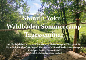 Tages-Seminar Sommercamp