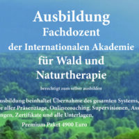 Fachdozent der Internationalen Akademie