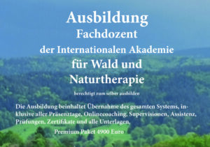 Fachdozent der Internationalen Akademie