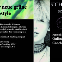 Persönliches Online Coaching
