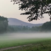 Online Jahresausbildung Transpersonale Prozessarbeit